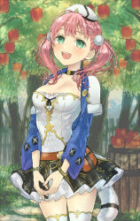 Rule 34 | 1girl, apple, atelier (series), atelier escha &amp; logy, barrel, belt pouch, black skirt, blush, bracelet, braid, breasts, choker, cleavage, escha malier, food, fruit, fur trim, green eyes, hair ornament, hani (udauda), hat, jewelry, long hair, looking at viewer, medium breasts, open mouth, outdoors, pink hair, pouch, skirt, smile, solo, standing, tail, thighhighs, tree, twintails