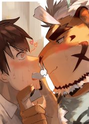 Rule 34 | 2boys, @ @, absurdres, after kiss, ahoge, animal ears, bara, beard, blue eyes, blush, breath, couple, eye contact, facial hair, from side, furry, furry male, furry with non-furry, grabbing another&#039;s chin, hand on another&#039;s chin, highres, hombre tigre (housamo), interspecies, looking at another, male focus, multiple boys, noses touching, portrait, protagonist 4 (housamo), saikorodekimeru, short hair, smug, sweatdrop, thick eyebrows, tiger boy, tiger ears, tokyo houkago summoners, upper body, white hair, yaoi