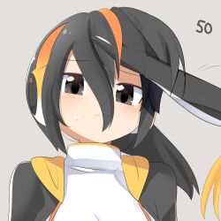 Rule 34 | 2girls, black eyes, black hair, black jacket, blonde hair, blush, closed mouth, commentary request, emperor penguin (kemono friends), frown, grey background, hair between eyes, hair lift, hand in another&#039;s hair, headphones, jacket, kemono friends, lets0020, long bangs, looking at viewer, multicolored hair, multiple girls, numbered, one-piece swimsuit, orange hair, rockhopper penguin (kemono friends), short hair, simple background, solo focus, streaked hair, swimsuit, upper body, white one-piece swimsuit