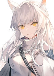 Rule 34 | 1girl, absurdres, animal ear fluff, animal ears, arknights, breasts, bright pupils, closed mouth, commentary, commission, fanshu, high collar, highres, horse ears, long hair, looking at viewer, medium breasts, platinum (arknights), sample watermark, shoulder strap, silver hair, simple background, smile, solo, unzipped, upper body, watermark, white background, yellow eyes