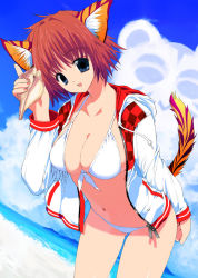 Rule 34 | animal ears, beach, bikini, blue eyes, breasts, cat ears, cat tail, cleavage, cloud, conch, front-tie top, happy, jacket, kusaka souji, looking at viewer, nail polish, navel, ocean, red hair, seashell, shell, short hair, swimsuit, tail, thighhighs