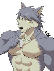 Rule 34 | 1boy, abs, animal ears, artist name, bara, commentary request, dog boy, dog ears, furry, furry male, highres, holding, holding jewelry, holding necklace, jewelry, kouya aotsuki, looking at viewer, male focus, morenatsu, muscular, muscular male, necklace, pectorals, shirako (kirupi), smile, topless male, white background, yellow eyes