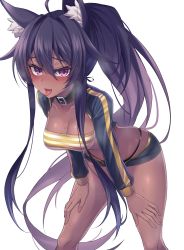 Rule 34 | 1girl, :d, ahoge, animal ear fluff, animal ears, bandeau, bare arms, bare shoulders, bent over, black choker, black hair, black panties, borrowed character, breasts, brown kemomimi-chan (krr), choker, cleavage, dark-skinned female, dark skin, gold trim, hands on own thighs, heavy breathing, highres, jingo, long hair, long sleeves, looking at viewer, medium breasts, micro shorts, midriff, open fly, open mouth, original, panties, ponytail, purple eyes, shorts, shrug (clothing), simple background, smile, solo, standing, string panties, striped, sweat, thighs, tongue, tongue out, underwear, very long hair, white background