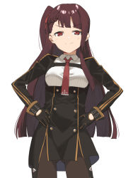 Rule 34 | 1girl, 2l (2lsize), black dress, black gloves, black pantyhose, blunt bangs, blush, brown hair, closed mouth, cowboy shot, dress, girls&#039; frontline, gloves, gluteal fold, hair ribbon, half-closed eyes, half updo, hands on own hips, highres, long hair, long sleeves, looking at viewer, one side up, pantyhose, red eyes, red ribbon, ribbon, short dress, simple background, smile, smug, solo, tsurime, very long hair, wa2000 (girls&#039; frontline), white background