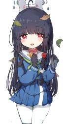 Rule 34 | 1girl, animal collar, animal ears, black gloves, black hair, blue archive, blue serafuku, blush, collar, collared shirt, commentary request, fake animal ears, gloves, halo, highres, le xue, leaf, leaf on head, long hair, long sleeves, looking at viewer, miyu (blue archive), pantyhose, red eyes, school uniform, serafuku, shirt, solo, white pantyhose