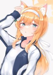 Rule 34 | 1girl, animal ear fluff, animal ears, blue archive, blue eyes, blush, breasts, commentary request, flower, gym shirt, hair between eyes, hair flower, hair ornament, hair ribbon, halo, highres, jacket, long hair, long sleeves, mari (blue archive), mari (track) (blue archive), noko (nco029685627), official alternate costume, orange hair, parted lips, partial commentary, ribbon, shirt, simple background, small breasts, solo, track jacket, white background, white flower, white ribbon, white shirt, yellow halo