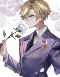 Rule 34 | 1boy, absurdres, black necktie, blazer, blonde hair, collared shirt, diffraction spikes, falling petals, flower, from side, highres, holding, holding flower, jacket, leaf, light blush, long sleeves, male focus, necktie, ouran high school host club, ouran high school uniform, petals, purple eyes, purple jacket, purple necktie, rose, school uniform, shirt, short hair, simple background, solo, suou tamaki, two-tone necktie, u-sama (u summer0719), upper body, white background, white flower, white rose, white shirt