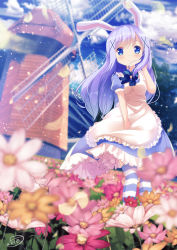 Rule 34 | 1girl, animal ears, apron, arm up, bad id, bad pixiv id, between legs, blue dress, blue hair, blue neckwear, blue sky, blue thighhighs, blurry, blurry background, blurry foreground, blush, breasts, child, chinomaron, closed mouth, cloud, cloudy sky, commentary request, day, dress, field, flower, flower field, frills, from below, gochuumon wa usagi desu ka?, hair ornament, hairclip, hand between legs, highres, kafuu chino, light blue hair, long hair, maid, maid apron, outdoors, petals, rabbit ears, shirt, short sleeves, sidelocks, signature, sky, small breasts, smile, solo, split mouth, standing, striped clothes, striped thighhighs, sunlight, thighhighs, tree, white shirt, wind, windmill, x hair ornament