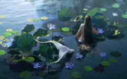 Rule 34 | 1girl, artist name, black hair, day, facing away, from behind, highres, lake, lily pad, long hair, mermaid, monster girl, nature, nude, original, partially submerged, scales, scenery, solo, straight hair, toraji, very long hair, water lily flower