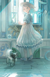 Rule 34 | 1girl, :d, blue eyes, blue footwear, blue shirt, bob cut, commentary request, dog, dress, flower, frilled dress, frills, from behind, grey hair, hat, hetero, heterochromia, highres, looking at viewer, looking back, mizutame tori, open mouth, original, painting (object), picture frame, pinafore dress, puffy short sleeves, puffy sleeves, shirt, shoes, short sleeves, signature, sleeveless dress, smile, solo, standing, string of flags, vase, white dress, white eyes, window