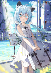 Rule 34 | 1girl, :o, animal ear fluff, animal ears, bench, black ribbon, blue eyes, blue hair, blue sky, blush, breasts, cat ears, cloud, collared dress, commentary request, day, dress, flower, hair between eyes, hair flower, hair ornament, highres, holding, long hair, looking at viewer, low twintails, neck ribbon, original, outdoors, parted lips, pleated dress, ribbon, saeki sora, sky, sleeveless, sleeveless dress, small breasts, solo, suitcase, twintails, very long hair, water, white dress, white flower