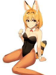 Rule 34 | 1girl, alternate costume, animal ears, bare shoulders, black leotard, blonde hair, bow, bowtie, commentary request, detached collar, extra ears, kemono friends, kittysuit, leotard, nontraditional playboy bunny, nyanco520, pantyhose, playboy bunny, red bow, red bowtie, serval (kemono friends), serval tail, short hair, sitting, sleeve cuffs, sleeveless, smile, solo, strapless, strapless leotard, tail, yellow eyes
