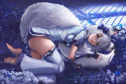 Rule 34 | 1girl, animal ear fluff, animal ears, aqua eyes, arm guards, barefoot, black gloves, blue shorts, blush, bow, breasts, bug, butterfly, china dress, chinese clothes, dress, fingerless gloves, flower, fox ears, fox tail, gloves, hair between eyes, hair bow, hugging own tail, hugging tail, insect, javier estrada, leggings, light particles, looking at viewer, lying, medium breasts, on side, original, parted lips, purple bow, short shorts, shorts, sidelocks, signature, solo, tail, thighs, toes, white flower, white hair