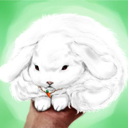 Rule 34 | carrot, in palm, inaba tewi, inaba tewi (bunny), itsuku, rabbit, realistic, solo focus, touhou