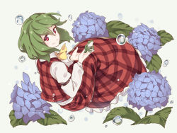 Rule 34 | 1girl, animal, ascot, asutora, blue flower, commentary, flower, frog, full body, green background, green hair, hair between eyes, hands up, holding, holding animal, hydrangea, kazami yuuka, knees up, leaf, long skirt, long sleeves, looking at viewer, looking back, petticoat, plaid, plaid skirt, plaid vest, red eyes, red skirt, red vest, shirt, short hair, simple background, skirt, smile, solo, touhou, vest, water drop, white shirt, wing collar, yellow ascot