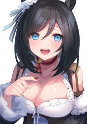 Rule 34 | 1girl, animal, animal ears, black hair, blue eyes, blush, breasts, bug, choker, cleavage, collarbone, detached sleeves, dirndl, eishin flash (umamusume), german clothes, hashiko nowoto, horse ears, horse girl, insect, ladybug, large breasts, looking at viewer, open mouth, red choker, short hair, simple background, smile, solo, teeth, umamusume, upper body, upper teeth only, white background