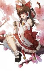 Rule 34 | 1girl, ahoge, animal ears, ascot, bell, black footwear, blush, bow, branch, brown hair, cat ears, cherry blossoms, chinese commentary, cup, detached sleeves, frilled skirt, frills, full body, hair between eyes, hair bow, hair tubes, hakurei reimu, highres, holding, holding cup, in tree, kemonomimi mode, legs together, long hair, meng ziya, midriff, nontraditional miko, open mouth, ponytail, red bow, red eyes, red skirt, shoes, sidelocks, simple background, sitting, sitting in tree, sitting on branch, skirt, smile, socks, solo, teacup, touhou, tree, white background, white socks, wide sleeves, yellow ascot