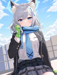 Rule 34 | 1girl, animal ear fluff, animal ears, blue archive, blue eyes, blue jacket, blue necktie, blue scarf, blue sky, blush, closed mouth, cloud, cross hair ornament, day, gloves, green gloves, grey hair, grey skirt, hair ornament, halo, highres, jacket, long sleeves, looking at viewer, necktie, open clothes, open jacket, outdoors, pipipipyu, plaid, plaid skirt, scarf, shiroko (blue archive), shirt, short hair, sitting, skirt, sky, solo, thighs, white shirt