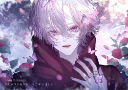 Rule 34 | 1boy, bishounen, bug, butterfly, cloak, grey hair, hair between eyes, insect, jewelry, looking at viewer, male focus, multiple rings, original, purple butterfly, purple eyes, purple hair, purple nails, ring, sasame 20, short hair, solo, upper body, white hair