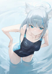 Rule 34 | 1girl, absurdres, animal ear fluff, animal ears, aqua eyes, blue archive, blush, breasts, closed mouth, commentary, covered navel, cross hair ornament, from above, grey hair, hair ornament, halo, hands on own hips, highres, medium breasts, mismatched pupils, official alternate costume, one-piece swimsuit, ponytail, sb lama, shiroko (blue archive), shiroko (swimsuit) (blue archive), solo, standing, swimsuit, wading, water, wet, wolf ears