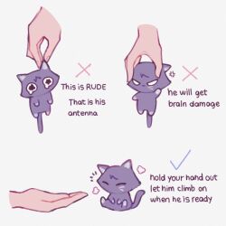 Rule 34 | animal, animalization, cat, checkmark, disembodied hand, doodlescara, english text, genshin impact, grabbing another&#039;s ear, hand on another&#039;s ear, highres, holding, holding animal, how to hold x (meme), looking at viewer, meme, purple fur, scaramouche (cat) (genshin impact), scaramouche (genshin impact), squeezing, x