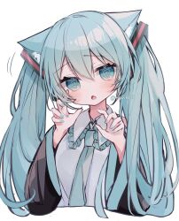 Rule 34 | 1girl, @ @, animal ear fluff, animal ears, aqua eyes, aqua hair, aqua nails, aqua necktie, black sleeves, blush, cat ears, collared shirt, cropped torso, fang, frilled shirt collar, frills, grey shirt, hair between eyes, hair ornament, hands up, hatsune miku, kemonomimi mode, long hair, long sleeves, looking at viewer, nail polish, necktie, open mouth, ringouulu, shirt, simple background, skin fang, solo, twintails, twitter username, upper body, vocaloid, watermark, white background, wide sleeves