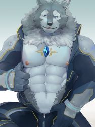 Rule 34 | 1boy, :q, abs, animal ears, bara, bare pectorals, blue bodysuit, bodysuit, bulge, character request, chest jewel, fluffy, fuga9, furry, furry male, large pectorals, looking at viewer, male focus, muscular, muscular male, navel, nipples, open bodysuit, open clothes, pectorals, short hair, smug, solo, stomach, thighs, tokyo houkago summoners, tongue, tongue out, undressing, wolf boy, wolf ears