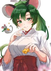 Rule 34 | 1girl, :p, absurdres, alternate costume, animal, animal ears, blush, breasts, cheese, closed mouth, earrings, fire emblem, fire emblem: the blazing blade, food, food on face, green eyes, green hair, hakama, hakama skirt, high ponytail, highres, holding, holding food, japanese clothes, jewelry, kemonomimi mode, kimono, large breasts, long hair, long sleeves, looking at viewer, lyn (fire emblem), miko, mouse (animal), mouse ears, mouse girl, mouse tail, nintendo, ormille, ponytail, red hakama, simple background, skirt, smile, solo, tail, tongue, tongue out, upper body, white background, white kimono, wide sleeves