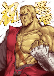 Rule 34 | 1boy, alternate costume, bald, clenched hand, eyepatch, hand wraps, male focus, manly, muscular, sagat, sagattoru, scar, simple background, solo, street fighter