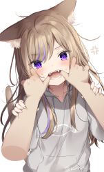 Rule 34 | 1girl, anger vein, animal ear fluff, animal ears, bad id, bad pixiv id, blush, cat ears, cat girl, cat tail, collarbone, commentary request, disembodied limb, fangs, finger in another&#039;s mouth, fingernails, grey hoodie, hair between eyes, highres, hood, hood down, hoodie, light brown hair, long hair, looking at viewer, mafuyu (chibi21), multicolored hair, open mouth, original, purple eyes, purple hair, revision, signature, simple background, solo focus, streaked hair, sweat, tail, tail raised, tears, very long hair, white background