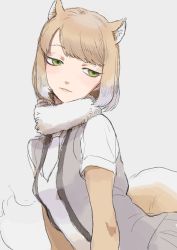 Rule 34 | 1girl, animal ears, bad id, bad pixiv id, closed mouth, commentary, expressionless, fox ears, fox girl, fox tail, gradient hair, green eyes, grey background, grey shirt, katsuoboshi, kemono friends, multicolored hair, orange hair, shirt, short hair, short sleeves, simple background, solo, tail, tibetan fox (kemono friends), upper body, white hair, white shirt