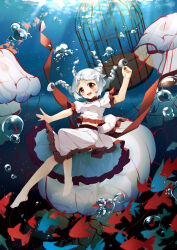Rule 34 | 1girl, :d, \||/, absurdres, barefoot, birdcage, blush, braid, breasts, bubble, cage, chinese commentary, commentary, ebisu eika, fish, floating hair, frilled skirt, frilled sleeves, frills, full body, highres, jellyfish, long hair, looking at viewer, medium breasts, open mouth, puffy short sleeves, puffy sleeves, red eyes, red ribbon, ribbon, shirt, short sleeves, skirt, smile, solo, teeth, tongue, touhou, underwater, upper teeth only, white hair, white shirt, white skirt, yingzi luren