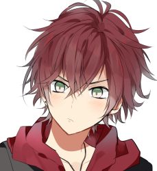 Rule 34 | 10s, 1boy, asai natsuoto, blush, closed mouth, collarbone, diabolik lovers, green eyes, highres, hood, hoodie, jewelry, male focus, necklace, red hair, sakamaki ayato, simple background, solo, white background
