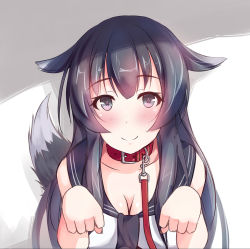 Rule 34 | 10s, 1girl, agano (kancolle), animal ears, bad id, bad pixiv id, black eyes, black hair, blush, breasts, cleavage, collar, dog ears, dog tail, female focus, heart, heart-shaped pupils, kantai collection, large breasts, leash, long hair, looking at viewer, paw pose, personification, shuuichi, smile, solo, symbol-shaped pupils, tail, viewer holding leash