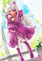 Rule 34 | 1girl, barasuishou, boots, bow, box, brown eyes, clenched hands, closed mouth, copyright name, crystal, curtains, day, dress, dutch angle, eyepatch, flower, gift, heart-shaped box, juliet sleeves, kirakishou, long sleeves, looking at viewer, misaki (kyal 001), mouth hold, paw pose, plant, potted plant, puffy sleeves, purple dress, purple flower, purple footwear, purple rose, railing, red bow, red ribbon, ribbon, rose, rozen maiden, silver hair, smile, solo, sparkle, standing, sunlight, tree, two side up