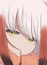 Rule 34 | 1girl, blunt bangs, brown hair, closed mouth, commentary request, fur collar, gradient hair, hair in own mouth, highres, japanese crested ibis (kemono friends), kemono friends, long hair, looking at viewer, multicolored hair, portrait, red hair, solo, user pejx4755, white hair, yellow eyes