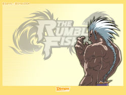 Rule 34 | greed (rumble fish), tagme, the rumble fish, white hair