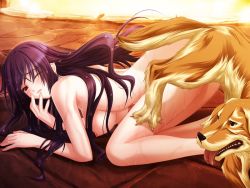 Rule 34 | 1girl, all fours, bent over, bestiality, black hair, blush, breasts, dog, doggystyle, game cg, kneeling, nude, sex, sex from behind, tongue, vaginal