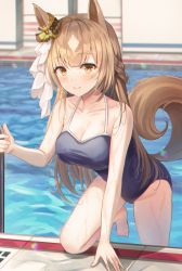 Rule 34 | 1girl, animal ears, barefoot, blue one-piece swimsuit, bow, breasts, brown hair, cleavage, closed mouth, collarbone, commentary request, ear ribbon, half updo, highres, horse ears, horse girl, horse tail, large breasts, leepy, long hair, looking at viewer, one-piece swimsuit, pool, ribbon, satono diamond (umamusume), smile, swimsuit, tail, umamusume, water, wet, white ribbon, yellow eyes