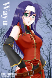 Rule 34 | 1girl, character name, copyright name, detached sleeves, fire emblem, fire emblem: radiant dawn, gloves, green eyes, hand on own hip, hissaa (starlight express), long hair, mia (fire emblem), nintendo, purple hair, solo
