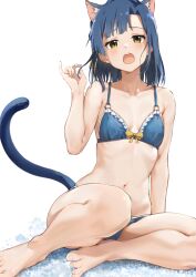 Rule 34 | 1girl, animal ear fluff, animal ears, blue bra, blue hair, blue panties, blush, bow, bowtie, bra, breasts, cat ears, cat tail, collarbone, frilled bra, frills, green eyes, hand in own hair, highres, holding own hair, idolmaster, idolmaster million live!, long bangs, looking at viewer, medium hair, nanao yuriko, navel, open mouth, panties, rauto, simple background, sitting, small breasts, solo, stomach, tail, teeth, underwear, upper teeth only, white background, yellow bow, yellow bowtie, yokozuwari