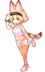 Rule 34 | 10s, 1girl, adapted costume, alternate costume, animal ears, bad id, bad pixiv id, blonde hair, bow, bowtie, breasts, commentary, elbow gloves, full body, gloves, hairband, highres, kemono friends, medium breasts, midriff, navel, open mouth, print bow, print bowtie, serval (kemono friends), serval tail, shoes, short hair, simple background, solo, standing, standing on one leg, sweat, tail, tank top, teranekosu, thighhighs, white background, wristband, yellow eyes