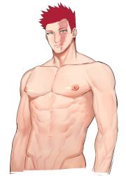 Rule 34 | 1boy, bara, boku no hero academia, completely nude, endeavor (boku no hero academia), facial hair, groin, large pectorals, looking at viewer, male focus, mature male, muscular, muscular male, nude, pectorals, scar, scar across eye, scar on face, short hair, sideburns, solo, spiked hair, stubble, upper body, zhineart