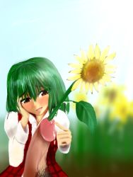 Rule 34 | 1girl, cum, dress shirt, flower, green hair, kazami yuuka, object insertion, penis, poorly drawn, red eyes, shirt, solo, sounding, sunflower, touhou, uncensored, upper body, urethral insertion, zdk (eject)