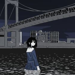 Rule 34 | 1girl, arms at sides, ashuu (4syup), blue serafuku, bridge, building, closed mouth, commentary request, expressionless, factory, from behind, jitome, keihou no atta hi (neutrino), limited palette, long hair, long sleeves, looking at viewer, looking back, night, outdoors, pleated skirt, river, school uniform, serafuku, skirt, skyline, solo, standing, wading, wet, wet clothes, wet skirt