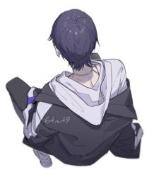 Rule 34 | 1boy, 6tnut9, commentary request, from above, from behind, hood, hooded shirt, hoodie, jacket, jewelry, kenmochi touya, looking away, lowres, necklace, nijisanji, purple hair, shirt, short hair, simple background, solo, virtual youtuber, white background, white shirt