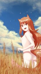 Rule 34 | 1girl, animal ears, ass, breasts, brown hair, highres, holo, long hair, nature, nipples, orange eyes, small breasts, solo, spice and wolf, tail, wolf ears, wolf girl, wolf tail