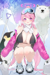 Rule 34 | 1girl, absurdres, animal, bear, bikini, black bikini, blue archive, blush, boots, breasts, chankuro, cleavage, eimi (blue archive), eimi (swimsuit) (blue archive), full body, highres, jacket, large breasts, long hair, open clothes, open jacket, open mouth, pink eyes, pink hair, pink jacket, polar bear, ponytail, smile, solo, squatting, sweat, swimsuit, white footwear
