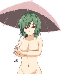 Rule 34 | 1girl, breasts, cleavage, closed mouth, collarbone, colored eyelashes, covering privates, covering breasts, green hair, groin, holding, holding umbrella, kazami yuuka, looking at viewer, medium breasts, miyo (ranthath), navel, nude, out-of-frame censoring, pink umbrella, red eyes, short hair, signature, simple background, smile, solo, standing, stomach, swept bangs, touhou, umbrella, upper body, wavy hair, white background