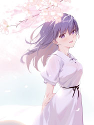 Rule 34 | 1girl, arms behind back, blush, breasts, cherry blossoms, dress, fate/stay night, fate (series), hair ribbon, long hair, looking at viewer, matou sakura, medium breasts, official alternate costume, open mouth, petals, purple eyes, purple hair, red ribbon, ribbon, short sleeves, siino, smile, solo